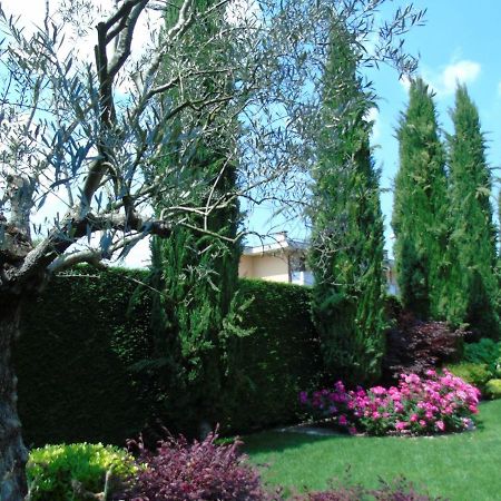 Mestrino Ai Cipressi B&B מראה חיצוני תמונה