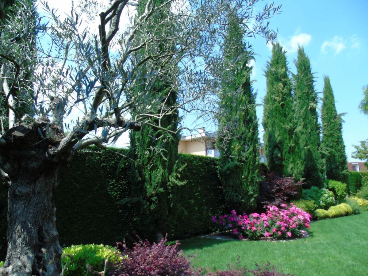 Mestrino Ai Cipressi B&B מראה חיצוני תמונה